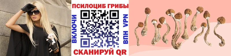 нарко площадка какой сайт  Константиновск  Галлюциногенные грибы прущие грибы 